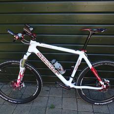 T-bikes SHARK Custom.