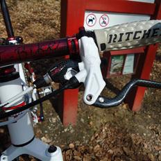 T-bikes SHARK Custom.