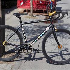Specialized Custom Race Build *SOLGT*