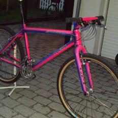 Klein Attitude 1992