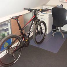 Giant Anthem X3 2010