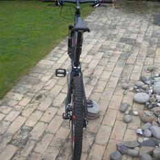 Cube STEREO RX