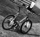 Nishiki Alien - Track Type