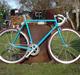 Mosquito CYMO