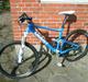 Giant Anthem X2 2010
