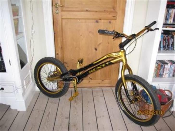 Monty kamel xxv billede 1