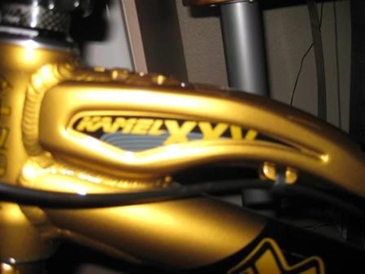 Monty kamel xxv billede 2