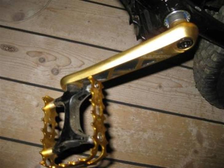 Monty kamel xxv billede 4