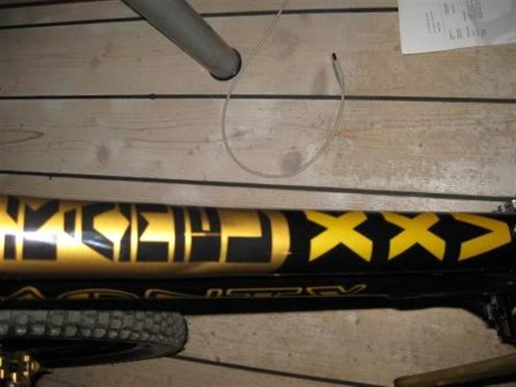 Monty kamel xxv billede 5