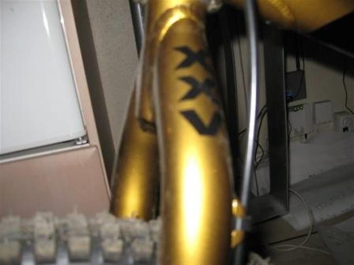 Monty kamel xxv billede 9