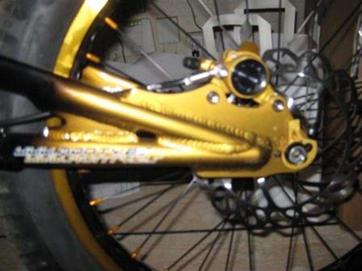 Monty kamel xxv billede 10