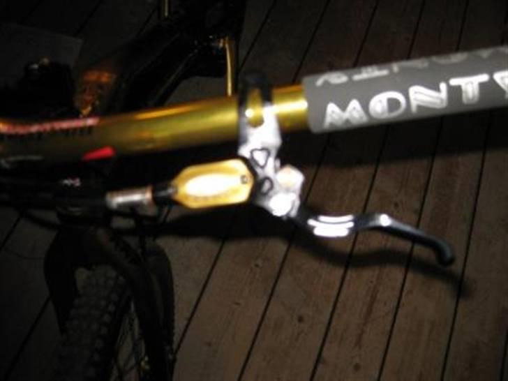 Monty kamel xxv billede 12