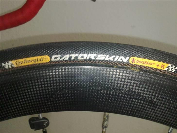 Principia rsl sx billede 2