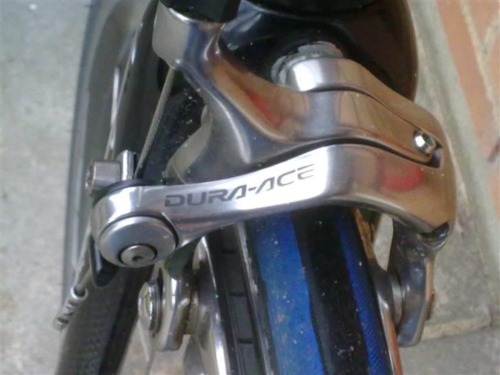 Principia rsl sx billede 5