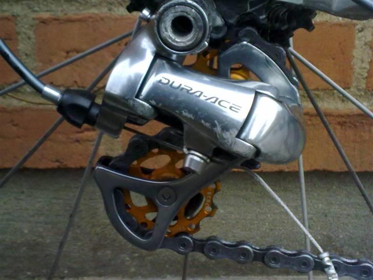 Principia rsl sx billede 6