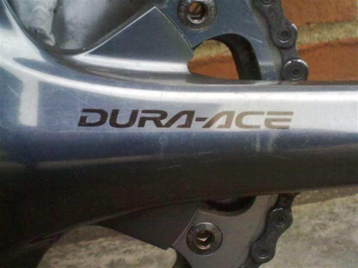 Principia rsl sx billede 9