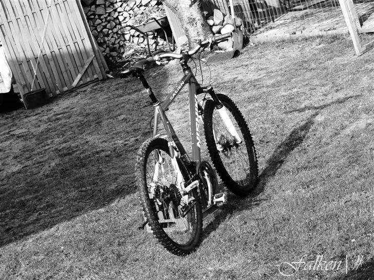 Nishiki Alien - Track Type billede 4