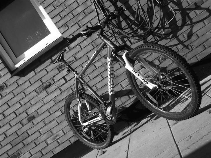 Nishiki Alien - Track Type billede 10