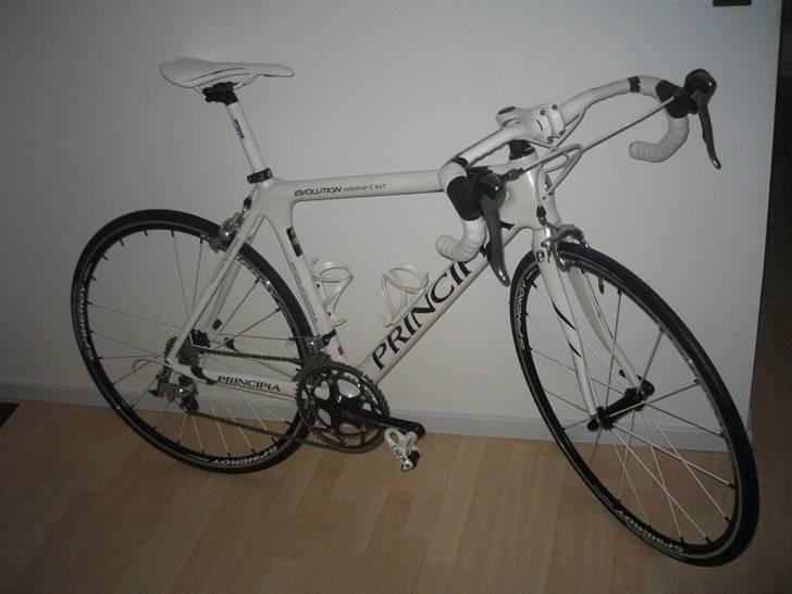 Principia Evolution Weave C16T billede 1
