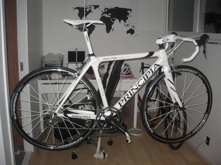 Principia Evolution Weave C16T billede 3