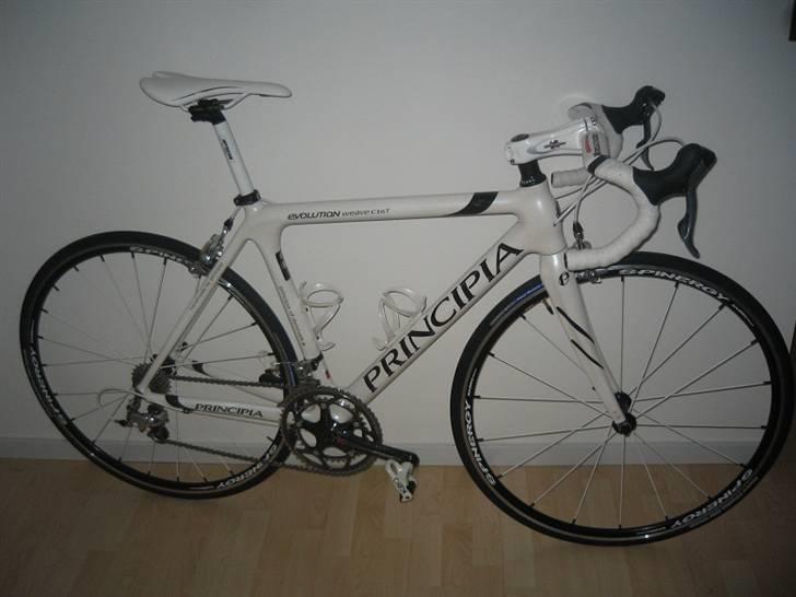 Principia Evolution Weave C16T billede 4