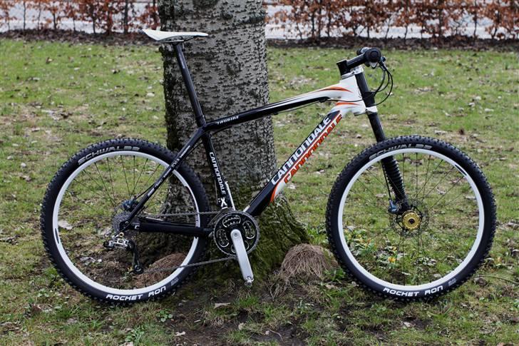 Cannondale Taurine Team Replica 8,1  billede 12