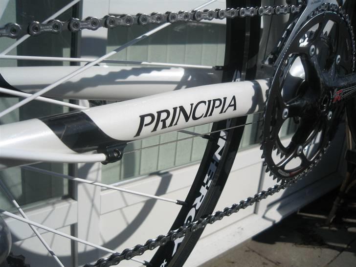 Principia Evolution Weave C16T billede 12