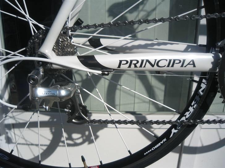Principia Evolution Weave C16T billede 13