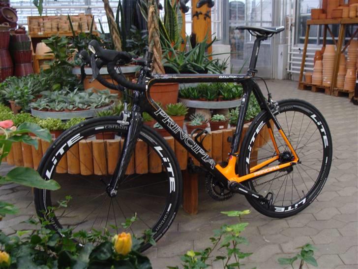 Principia Evolution C16T - SOLGT billede 1