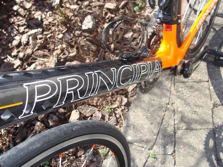 Principia Evolution C16T - SOLGT billede 4