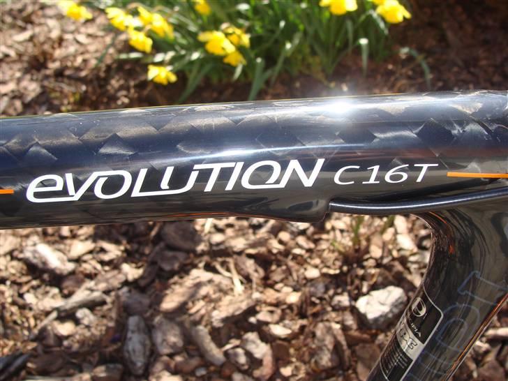 Principia Evolution C16T - SOLGT billede 5