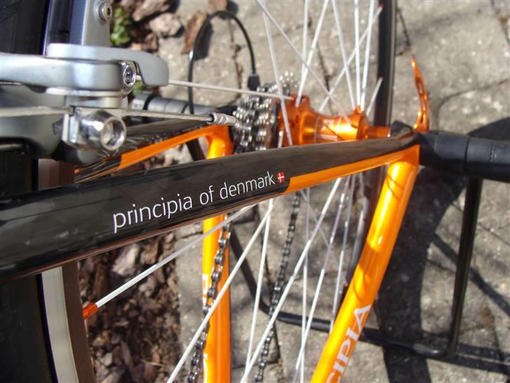 Principia Evolution C16T - SOLGT billede 6