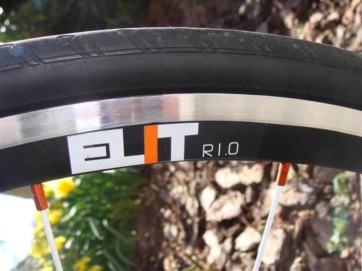 Principia Evolution C16T - SOLGT billede 7