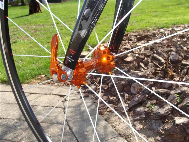 Principia Evolution C16T - SOLGT billede 12