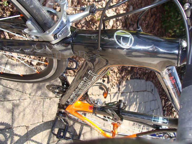 Principia Evolution C16T - SOLGT billede 13