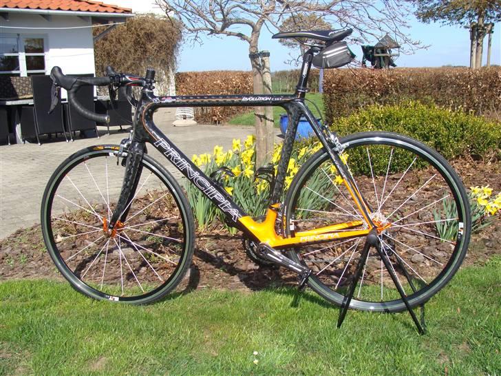 Principia Evolution C16T - SOLGT billede 15