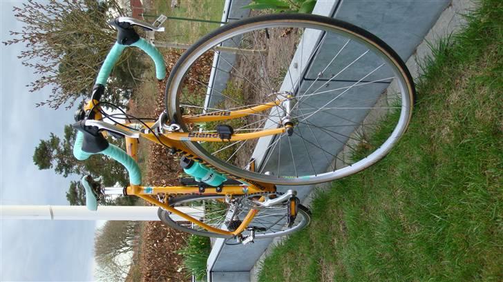 Bianchi Mega pro(vinter racer) billede 8