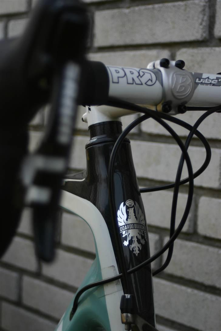 Bianchi Infinito  billede 1