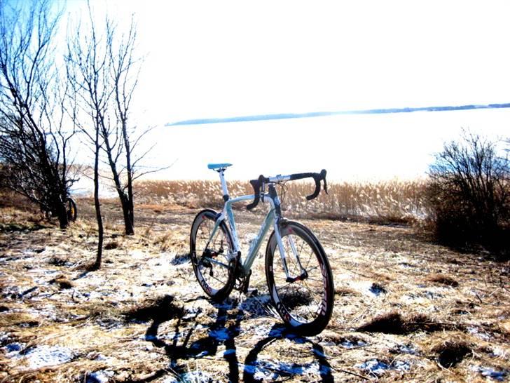 Bianchi Infinito  billede 2