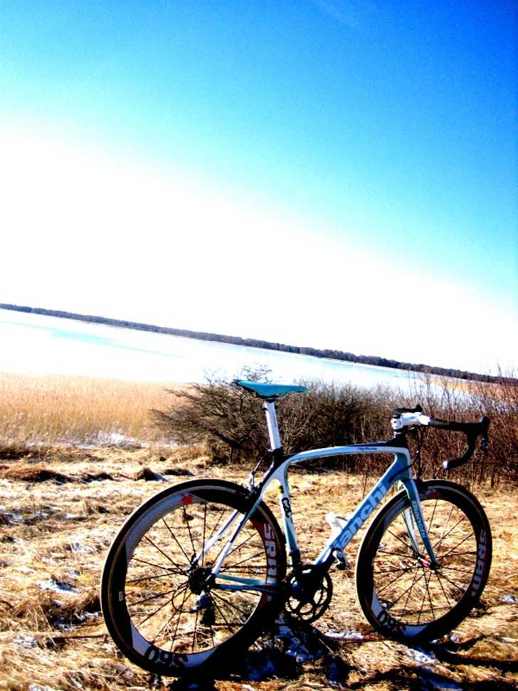 Bianchi Infinito  billede 14