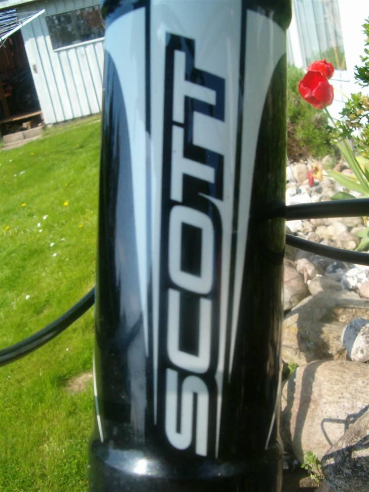 Scott scale 60 2010 (stjålet) billede 8