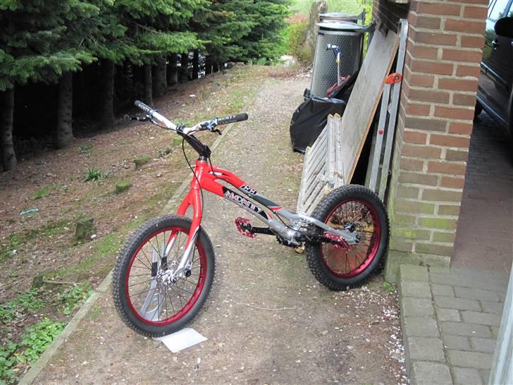 Monty 221 kamel 2010 billede 2