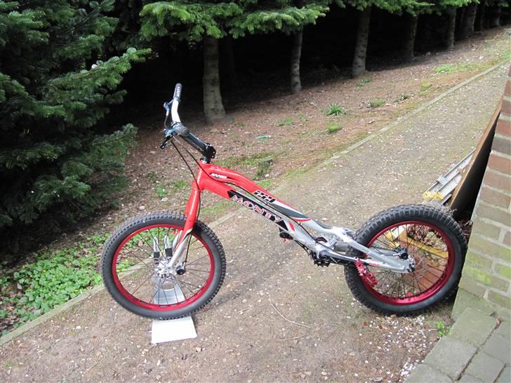 Monty 221 kamel 2010 billede 3