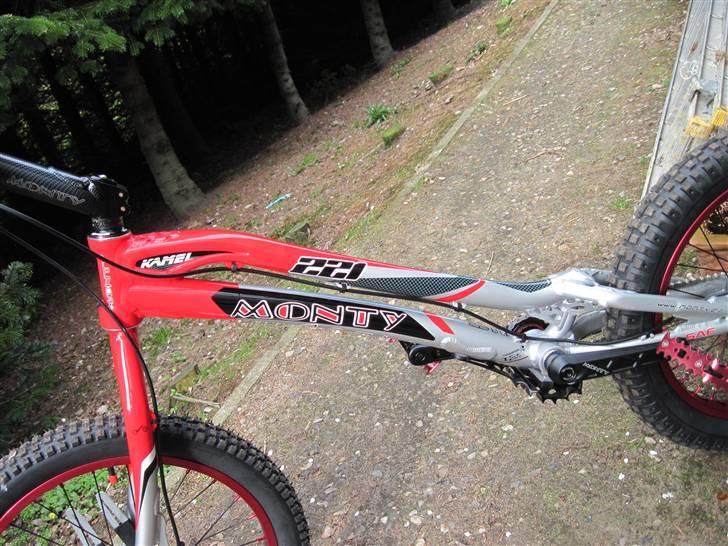 Monty 221 kamel 2010 billede 4