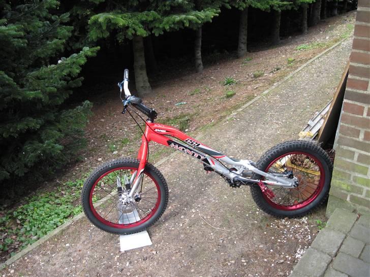 Monty 221 kamel 2010 billede 5