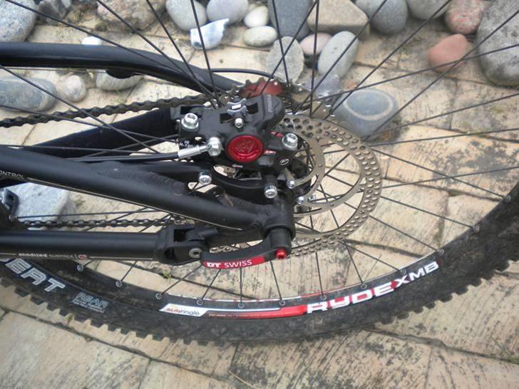 Cube STEREO RX billede 12