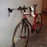 Ideal In Tempo 7005