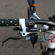 Focus Fat boy 2010
