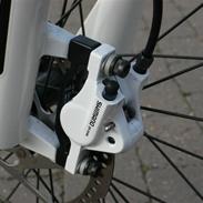 Focus Fat boy 2010