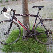 Bottecchia Race Division